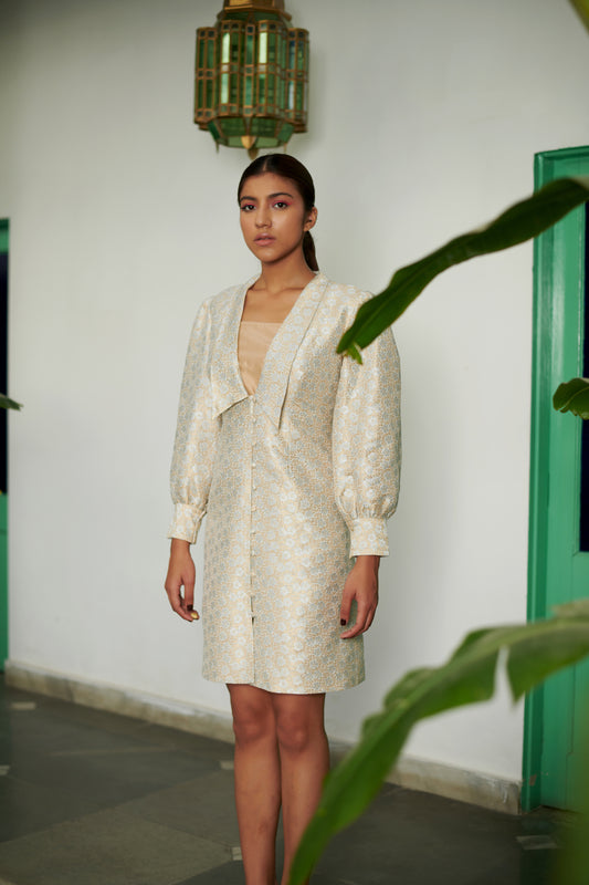 Ivory Zari Banarasi Dress