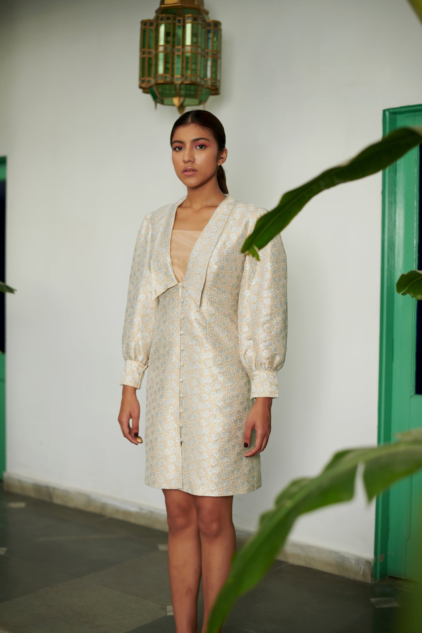 Ivory Zari Banarasi Dress